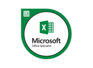 Microsoft Excel Associate 2019